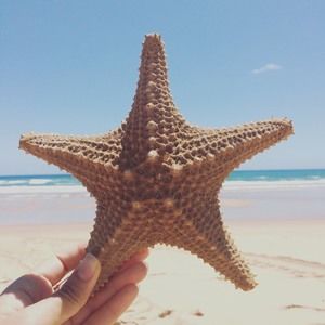 Meet your Posher, Shila